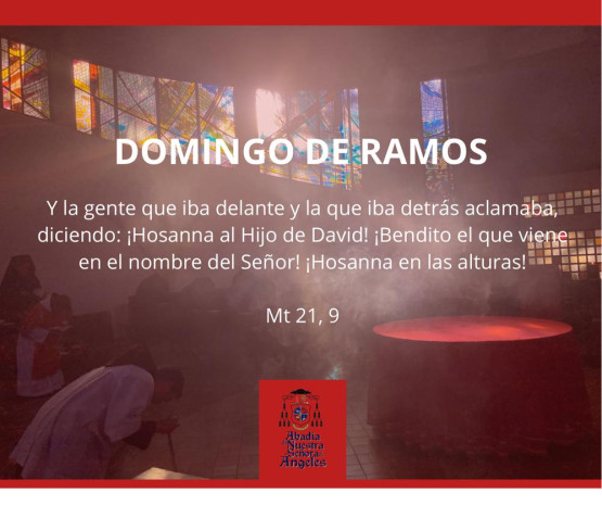 Homil&iacute;a de Domingo de Ramos 2024