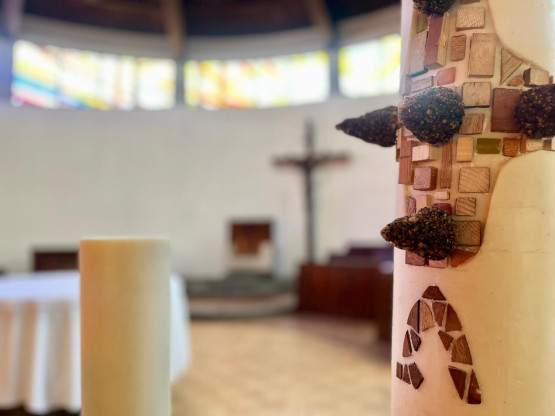 Homil&iacute;a del III Domingo de Pascua 2025